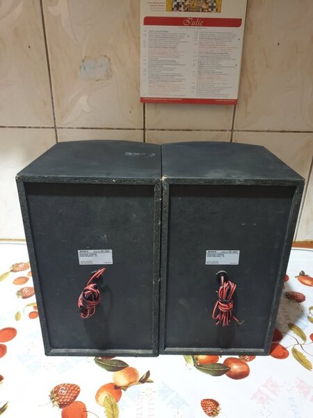 Boxe Sony SS - H551 Boxe Combina Clasica